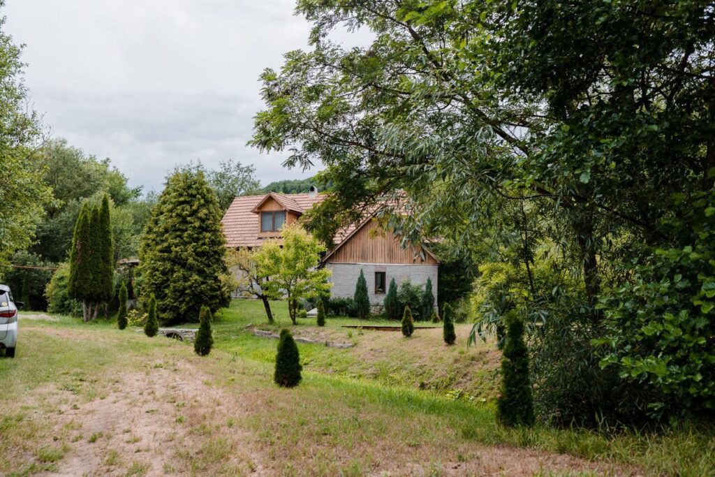 O imagine de pe aleea de acces a Cabanei Ana, cu vedere la anexa nouă. Se observă brăduți tuia plantați pe cele două margini ale pârâului care trece prin curte, contribuind la un peisaj îngrijit și natural. O parte din cabana principală este vizibilă pe fundal.