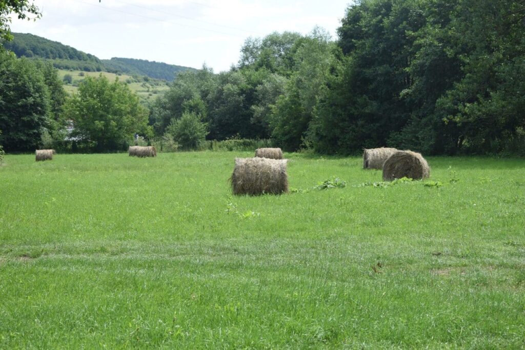 O imagine cu un câmp verde și vast, pe partea stângă a intrării la Cabana Ana. Se observă mai mulți baloți de fân rotunzi, așezați pe iarbă, sugerând un spațiu deschis, ideal pentru activități în aer liber și jocuri de grup.