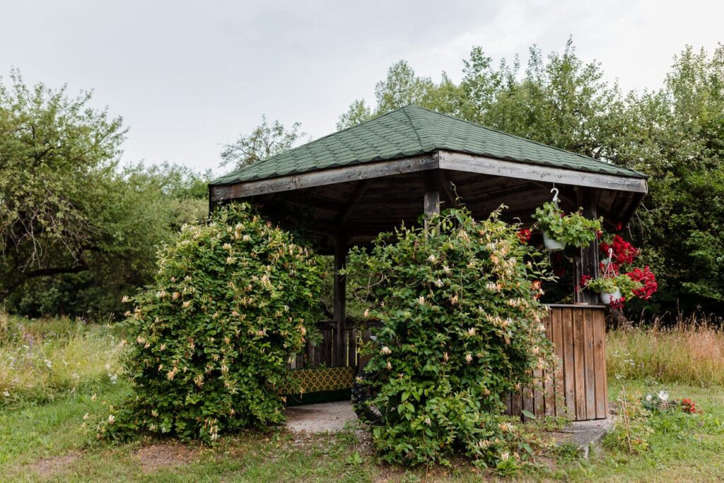 O imagine de aproape a foișorului din grădina Cabanei Ana. Construcția din lemn are un acoperiș verde și este înconjurată de arbuști verzi și flori roșii, creând un spațiu intim și pitoresc. Se observă bănci de lemn și o masă, sugerând un loc ideal pentru relaxare.