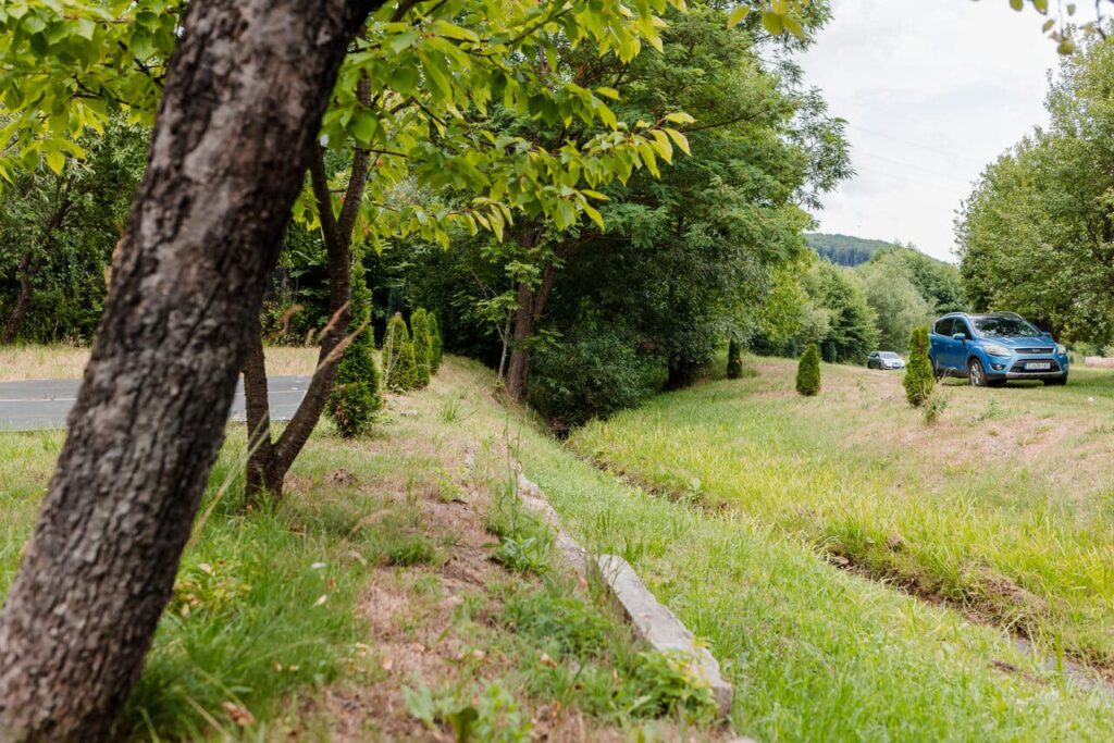 O vedere a spațiului verde din fața Cabanei Ana, cu o alee de acces, mașini parcate și vegetație luxuriantă. Se observă pârâul care trece prin curte și o zonă de iarbă tunsă, care arată că spațiul este îngrijit.